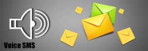 what is voice sms